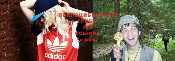 MESCALINE Магадан