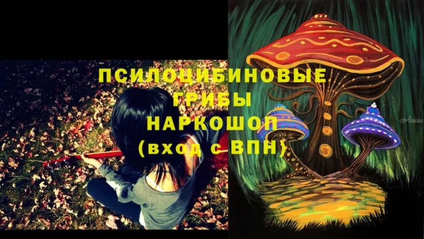 MESCALINE Магадан