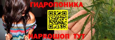 твердый Будённовск