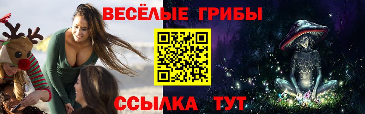 Псилоцибиновые грибы Magic Shrooms  Вход с VPN  Нижнекамск 