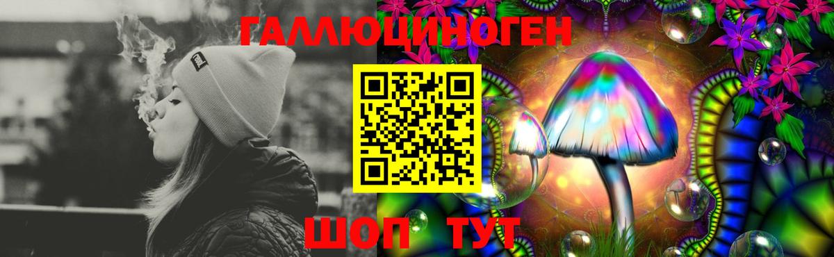 Галлюциногенные грибы прущие грибы Нижнекамск